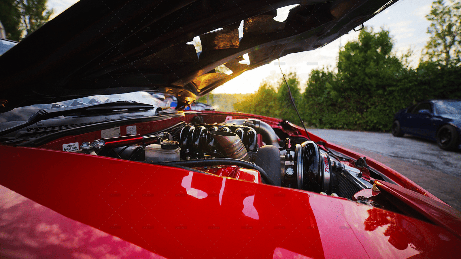 demo-attachment-1273-patrick-bWSiIlfFr-8-unsplash